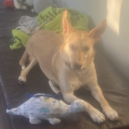 bed1489e108a9fb37b792a0b2c234399.jpg
